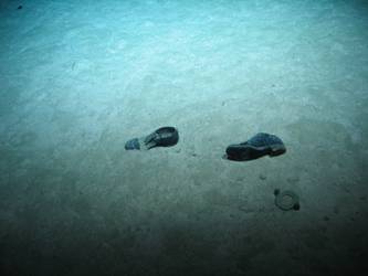 Pair of shoes on seabed